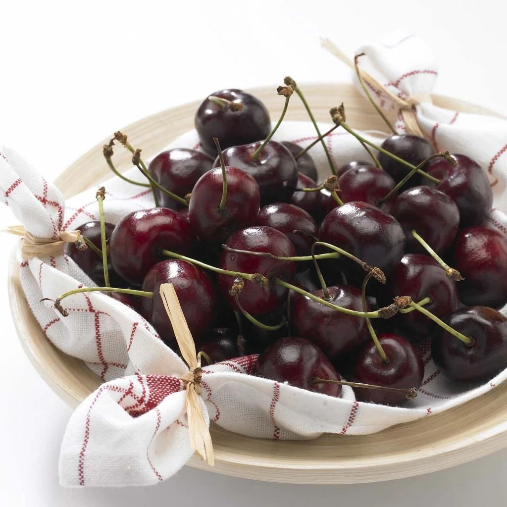 Cerisier Bigarreau Délice De Malicorne - Georges Delbard 1 Cerisier Bigarreau Délice De Malicorne - Georges Delbard